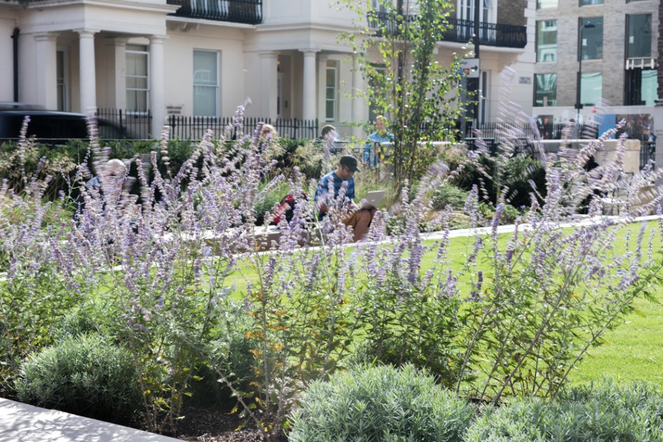 Friedns House Garden Friends House Garden